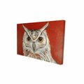 Begin Home Decor 20 x 30 in. Colorful Eagle Owl-Print on Canvas 2080-2030-AN297